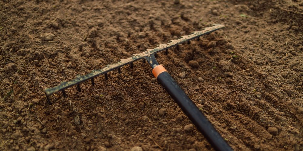 spring-cleaning-selective-focus-yard-area-cleaning-D6TWX8X